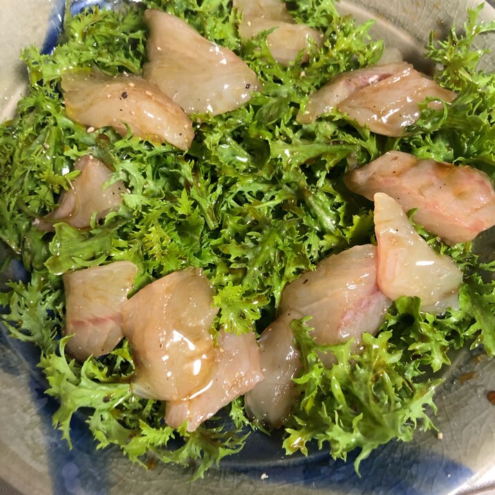 白身魚とわさび菜の和風カルパッチョ